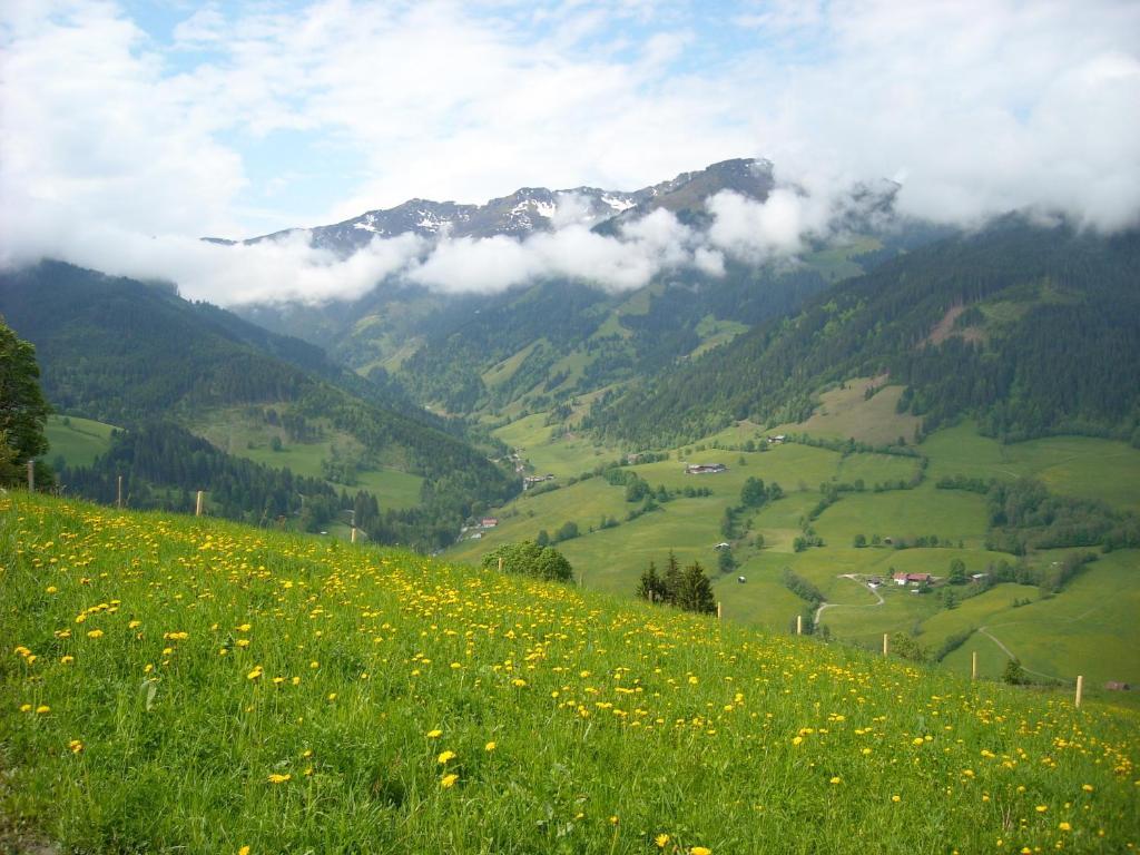 Haus Rieder Georg Apartment Maria Alm am Steinernen Meer Exterior photo